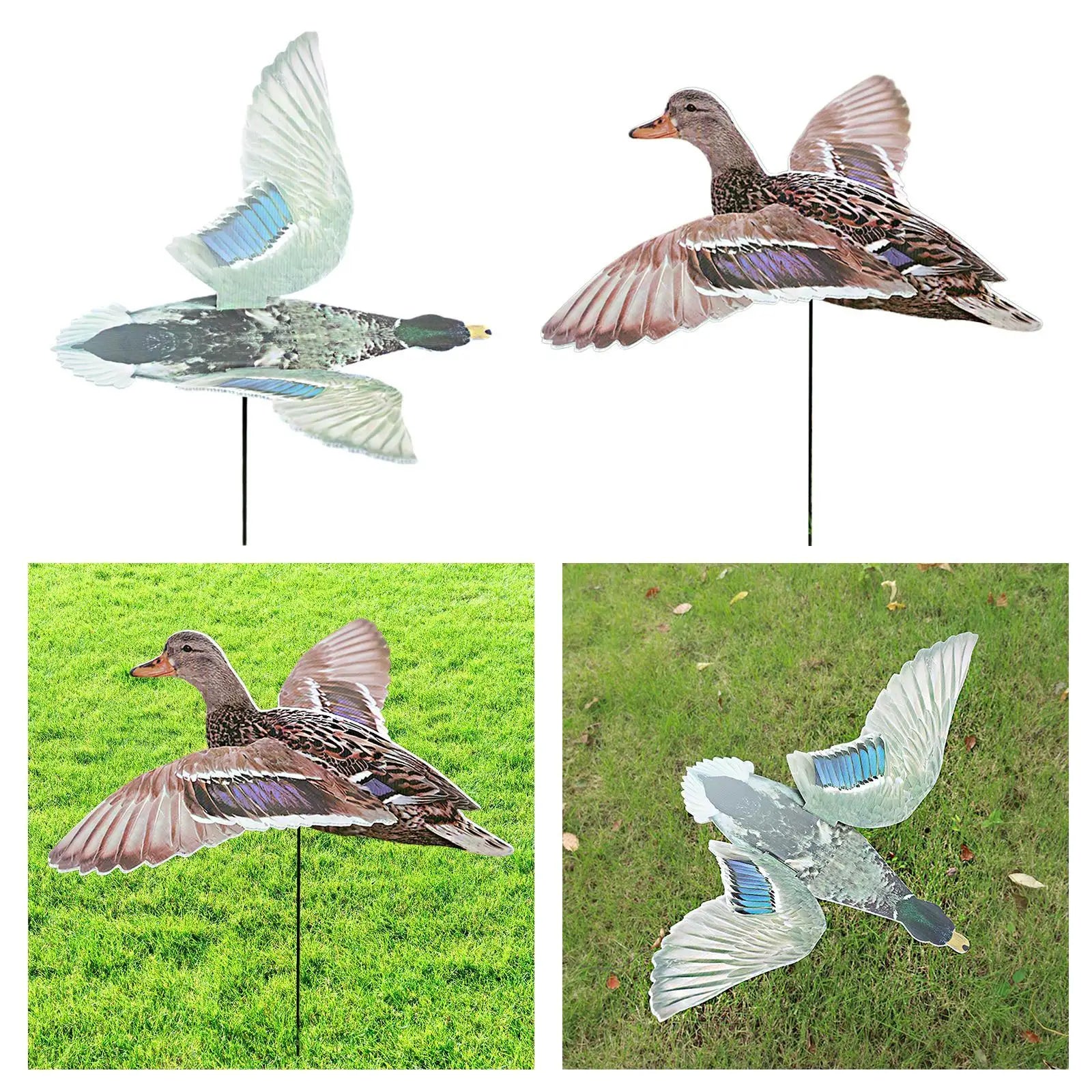 Call'em Boyz Realistic Lightweight /Portable Spread Winged Female Decoy