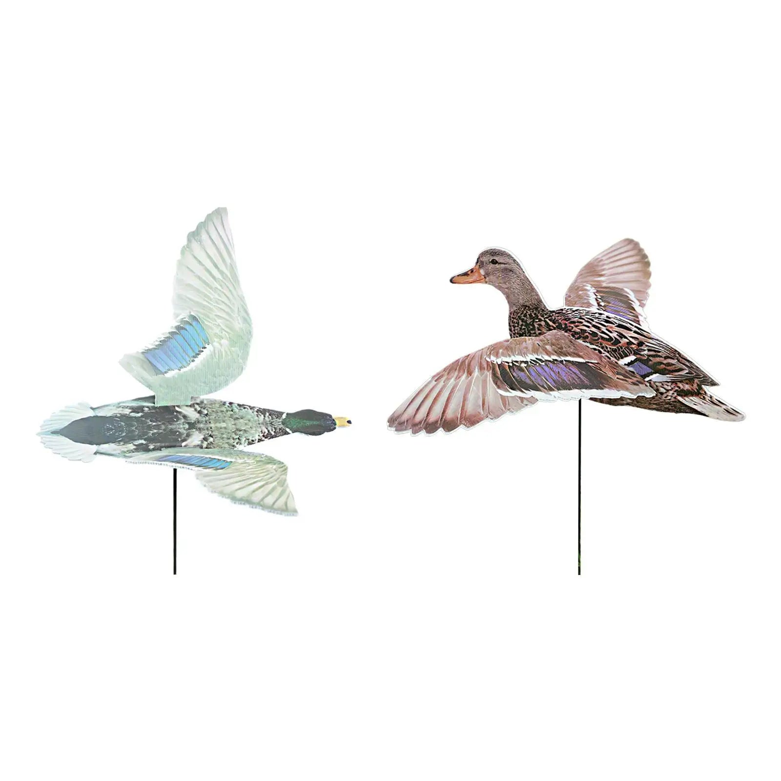 Call'em Boyz Realistic Lightweight /Portable Spread Winged Female Decoy